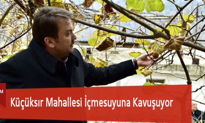 Başkan Erkoç’tan Naranciye Bahçelerinde İnceleme