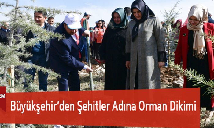 Büyükşehir’den Şehitler Adına Orman Dikimi