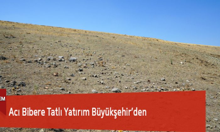 Acı Bibere Tatlı Yatırım Büyükşehir’den