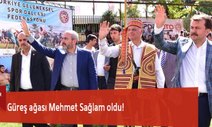 Güreş ağası Mehmet Sağlam oldu!