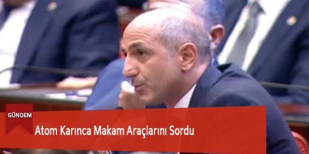 Atom Karınca Makam Araçlarını Sordu
