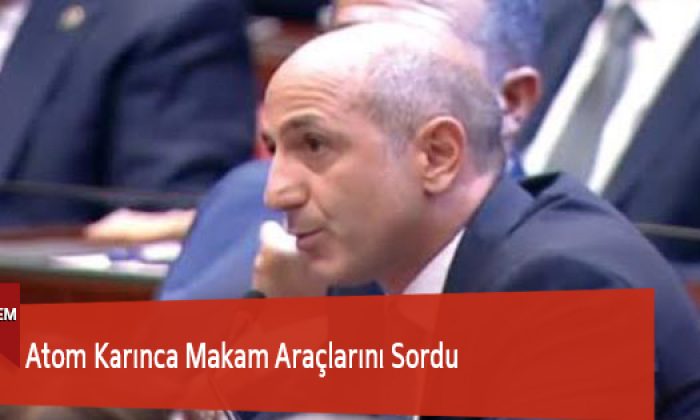 Atom Karınca Makam Araçlarını Sordu