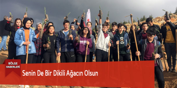 Senin De Bir Dikili Ağacın Olsun