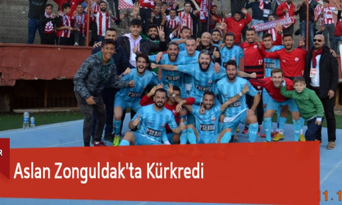 Aslan Zonguldak’ta Kürkredi