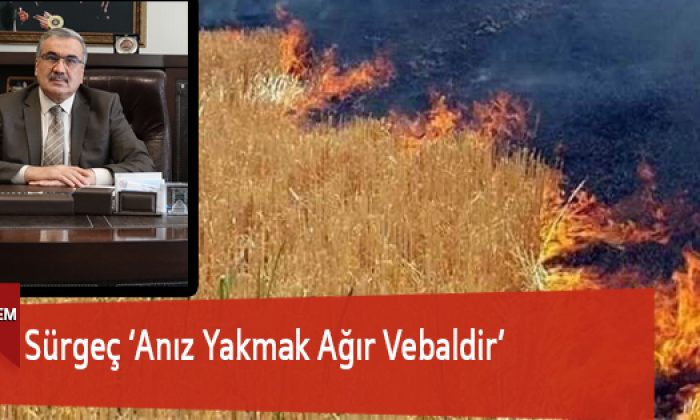 Sürgeç ‘Anız Yakmak Ağır Vebaldir’