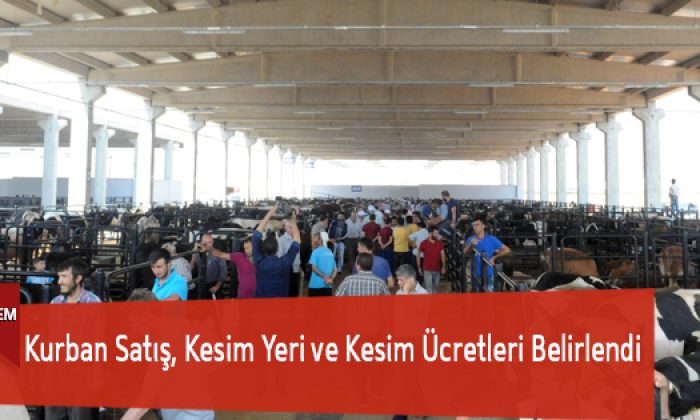 Kurban Satış, Kesim Yeri Ve Kesim Ücretleri Belirlendi