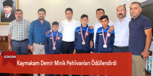 Kaymakam Demir Minik Pehlivanları Ödüllendirdi