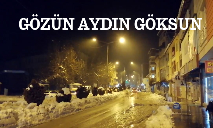 İlçe Merkezine Elektrik Verilmeye Başlandı