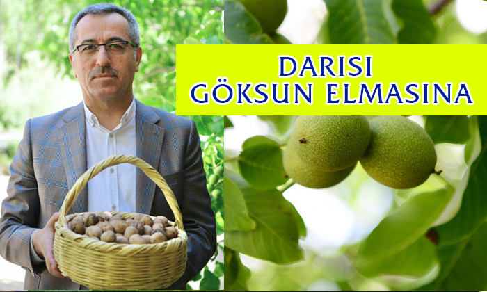 Güngör: “Değerlerimizi Dünya Ağları İle Buluşturacağız”