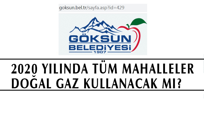 2020 Yılında Tüm Mahalleler Doğal Gaz Kullanacak mı?