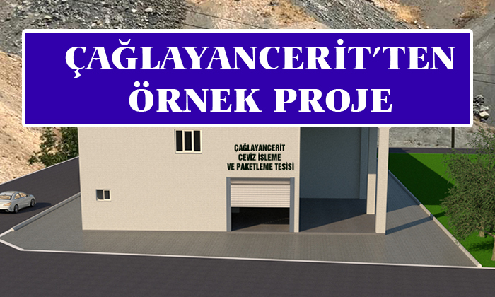 Çağlayanceirt Cevizi Önce Tesise Sonra Pazara Girecek