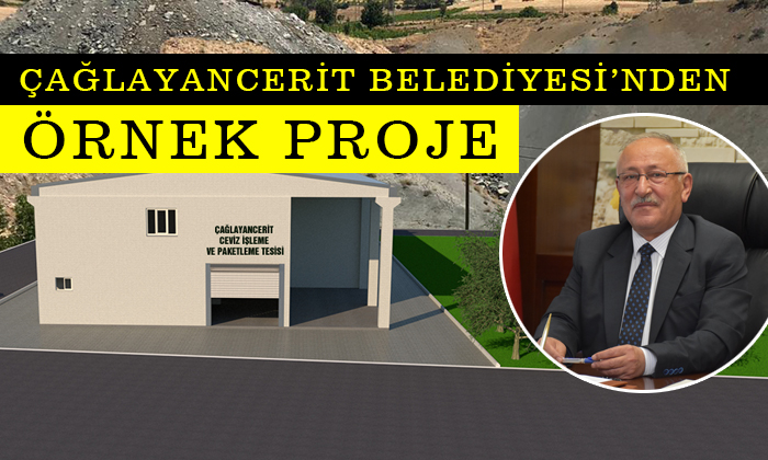 Ceviz İşleme ve Paketleme Tesisi’nde Flaş Gelişme
